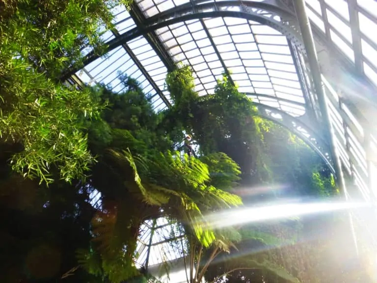 Opération « serre tropicale » au Jardin des Plantes, Paris