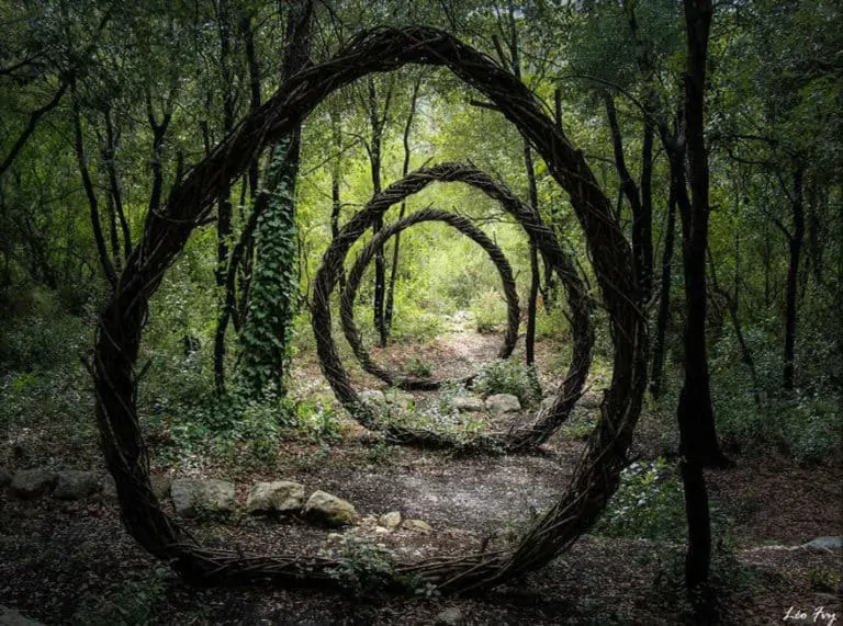 Arbres en forêt et Land-art, la Nature magnifiée